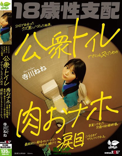 SNSで出会ったクズ男にハマった結果、公衆トイレでさくっとヌくための肉おナ...