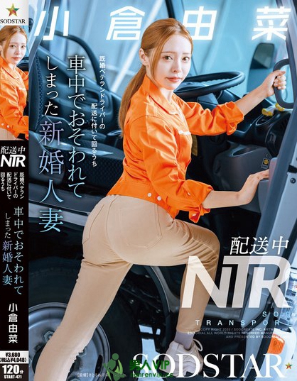 配送中NTR 既婚ベテランドライバーの配送に付いて回るうち車中でおそわれて...